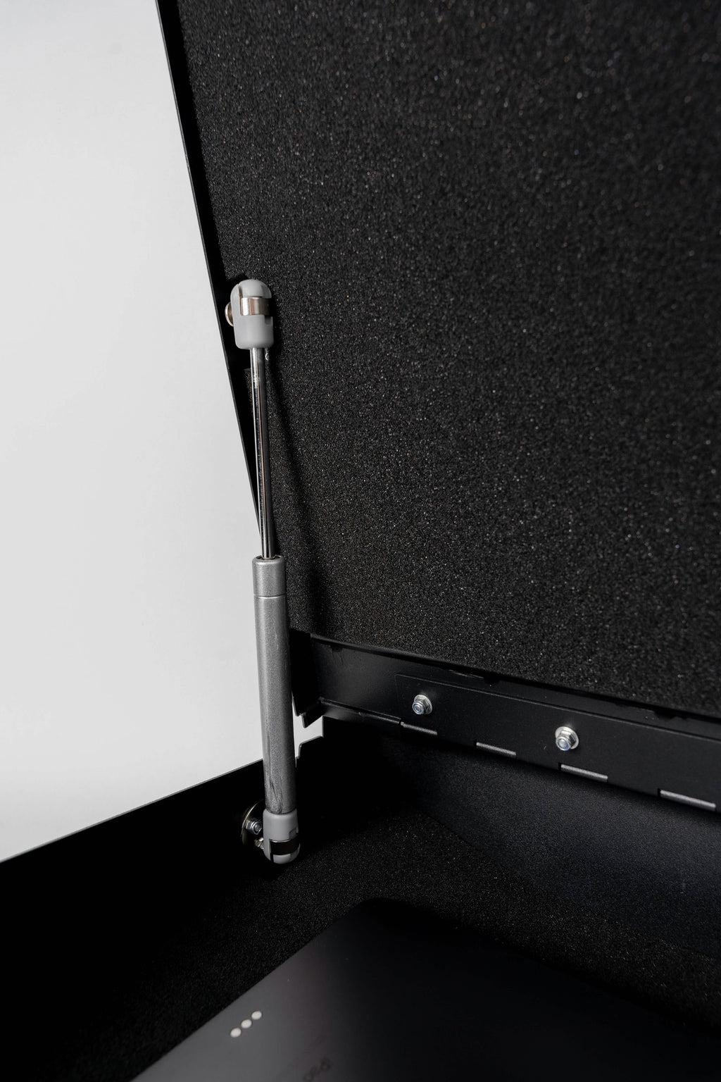 Biometric SAFE: Triple Locking System- Personal Safe