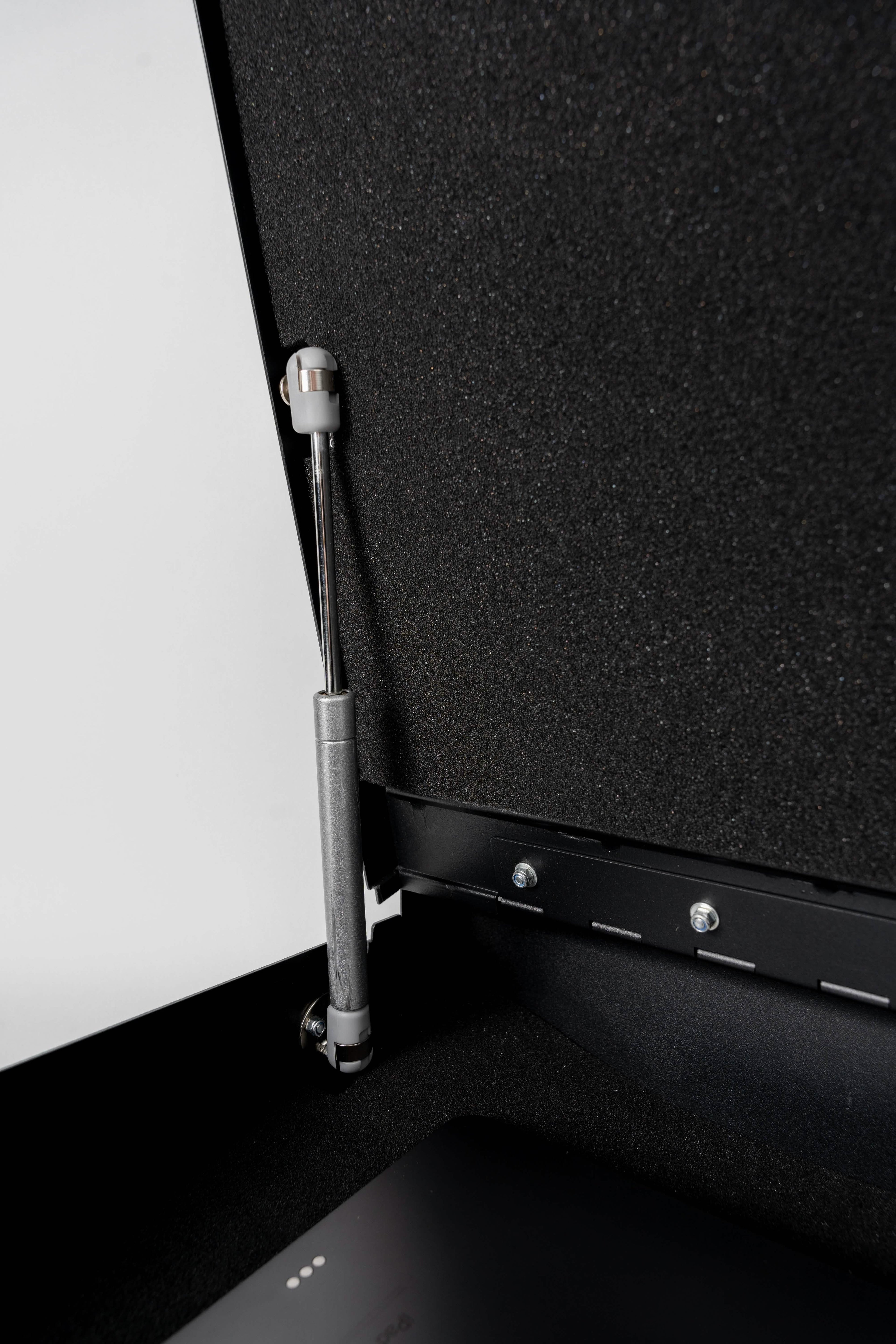 Biometric SAFE: Triple Locking System- Personal Safe