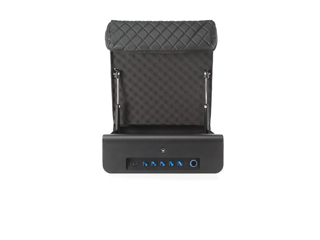 Biometric SAFE: Triple Locking System- Personal Safe