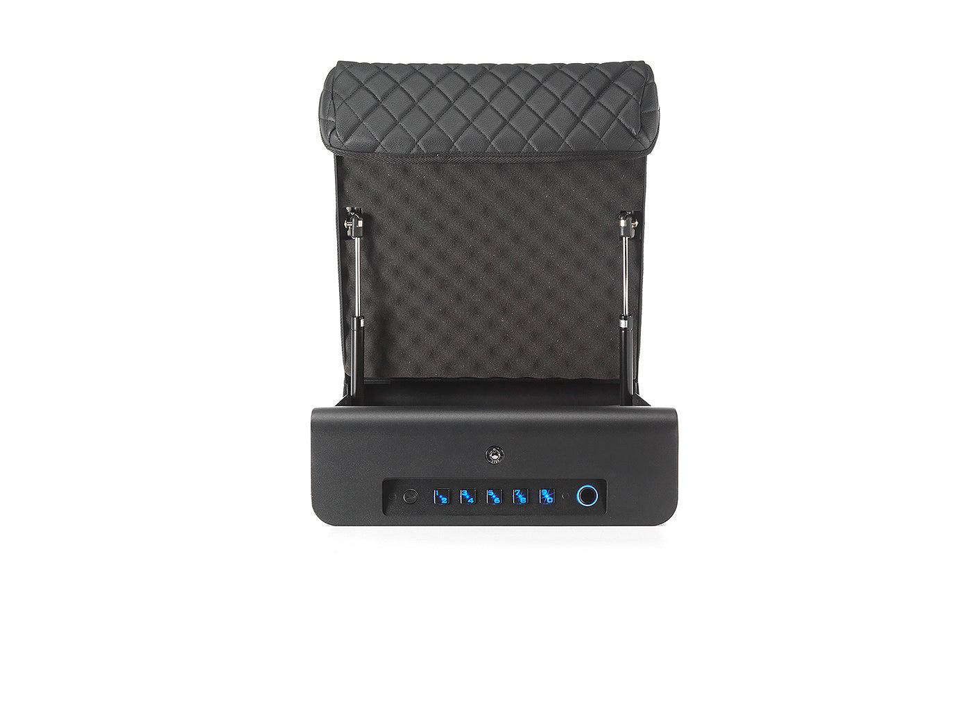 Biometric SAFE: Triple Locking System- Personal Safe