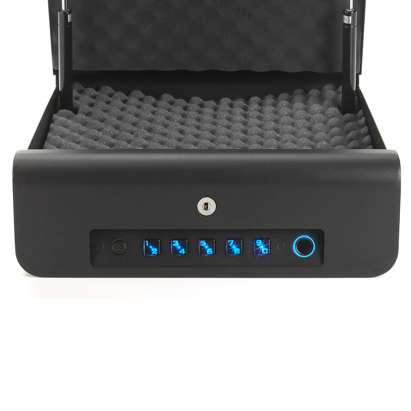 Biometric SAFE: Triple Locking System- Personal Safe