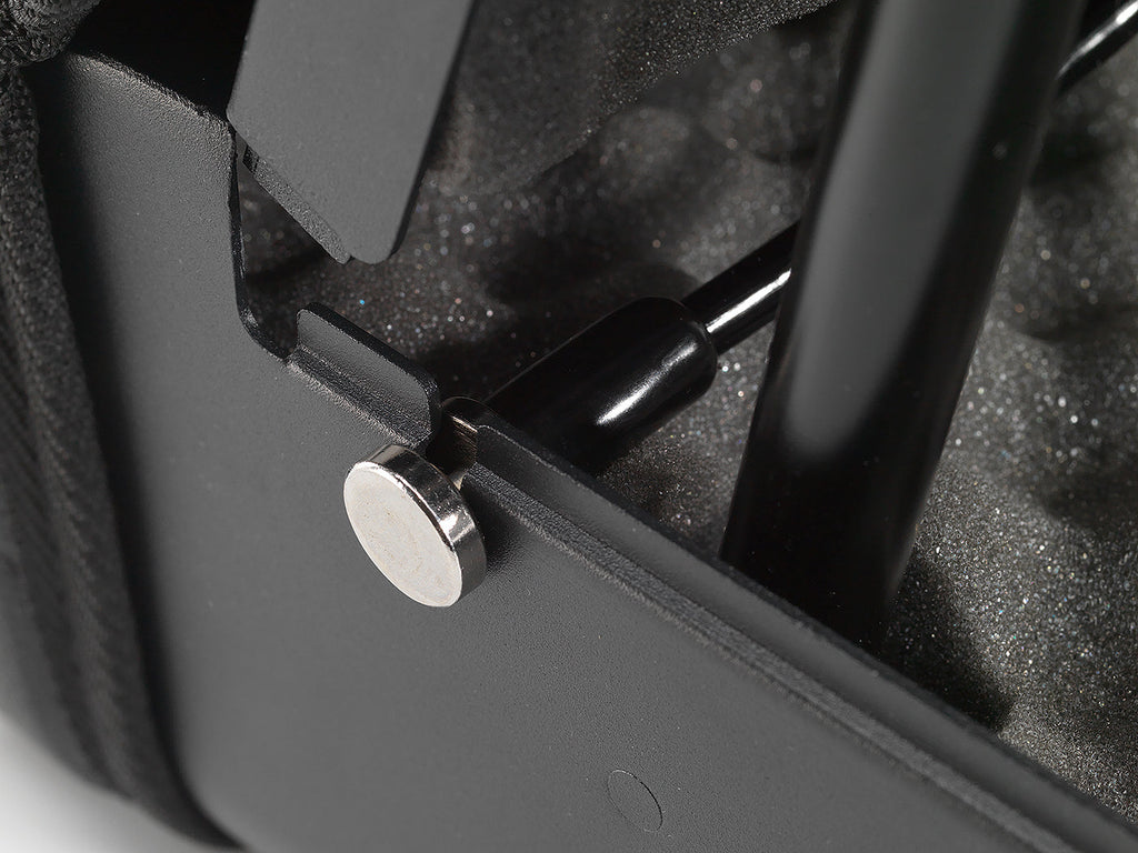 Biometric SAFE: Triple Locking System- Personal Safe