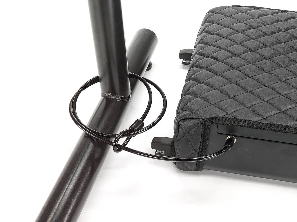 Biometric SAFE: Triple Locking System- Personal Safe