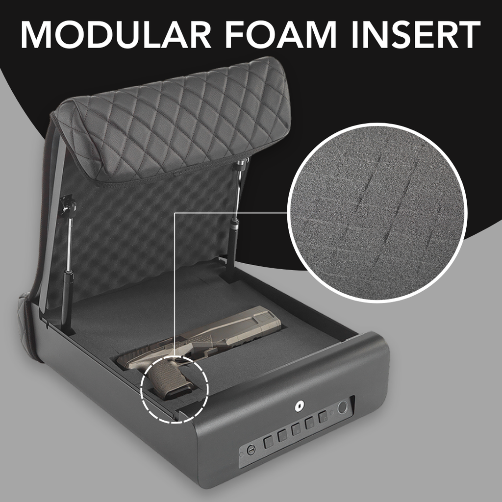 Biometric SAFE: Triple Locking System- Personal Safe